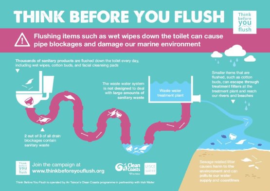 Infograph for Think before you flush