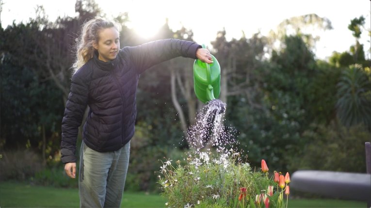A woman watering plants in the garden