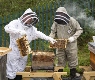 Newport beekeepers warn against pesticides
