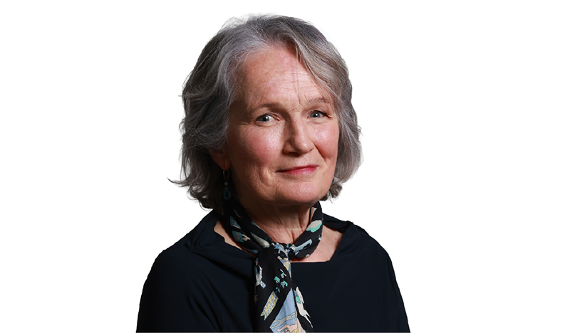 Cathy Mannion, Cathaoirleach