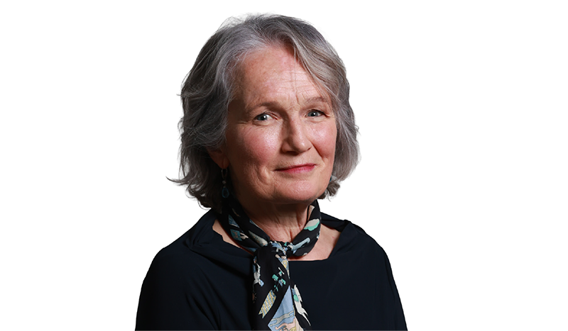 Cathy Mannion, Comhalta boird