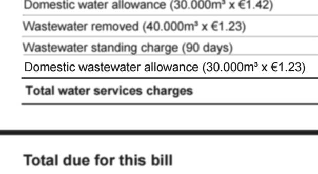 Detail of bill - Domestic allowance