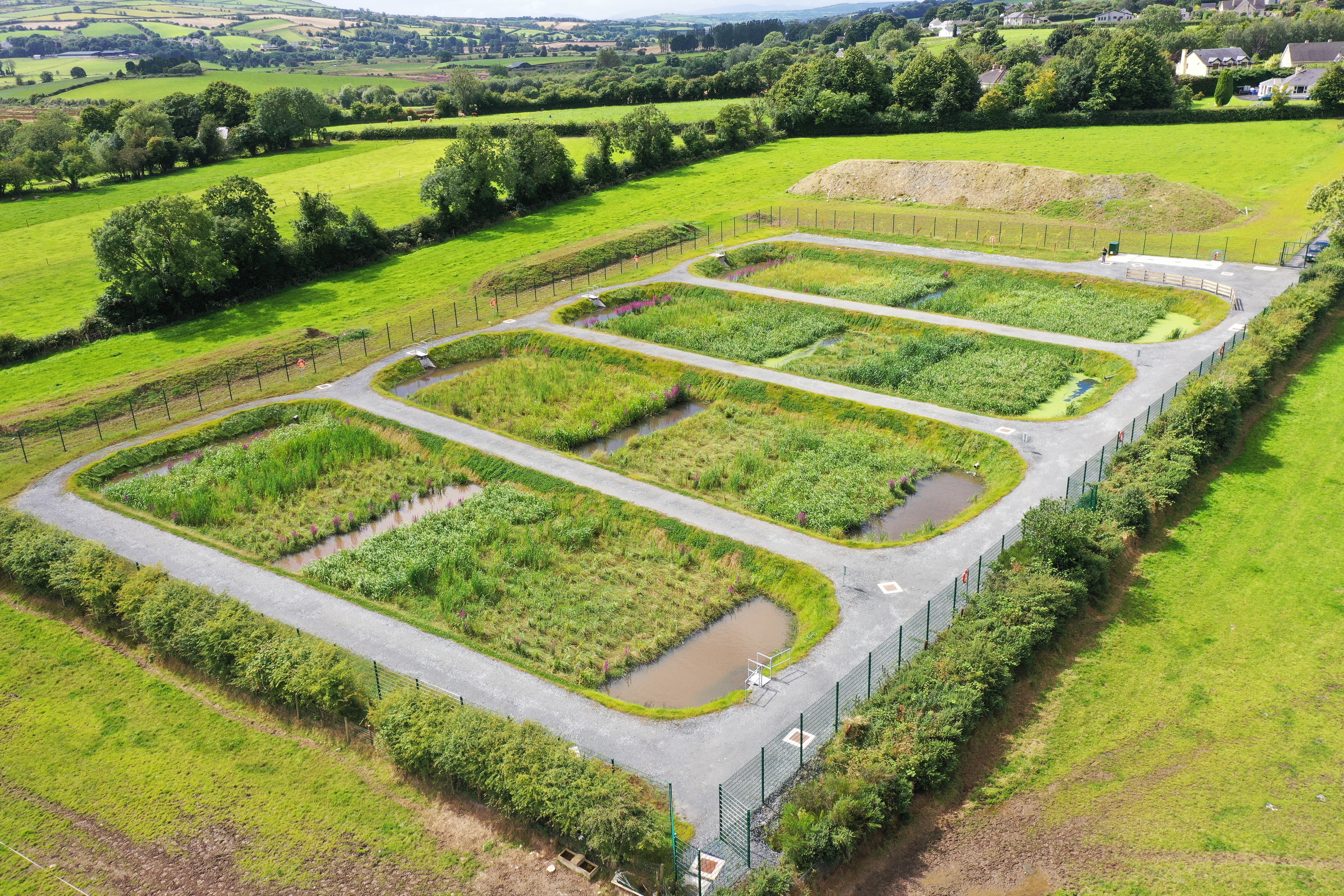 A constructed wetland