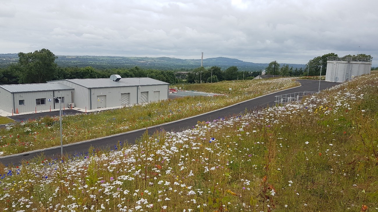 A metal building in a field of wildflowers and tall grass near a treatment plant in Gorey