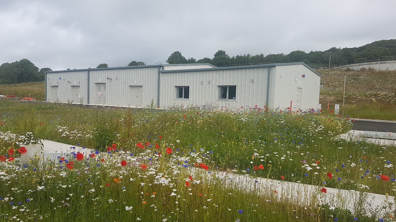A metal building within a field of wildflowers and tall grass in Gorey