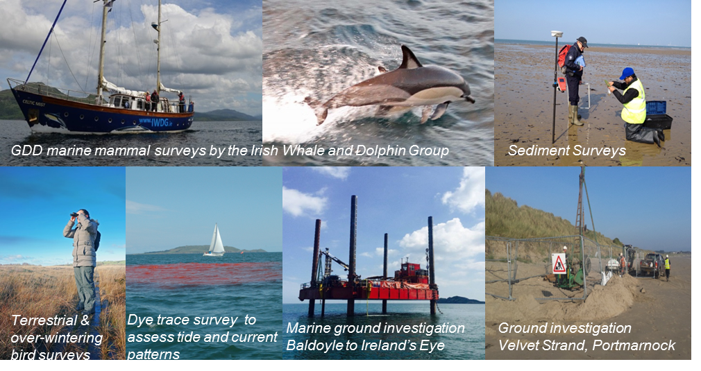 Seven images of for environmental studies