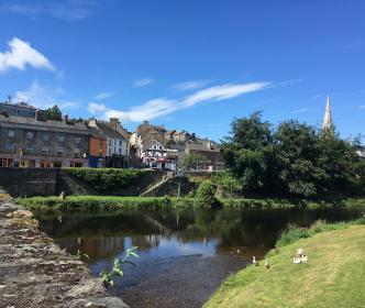 Enniscorthy town