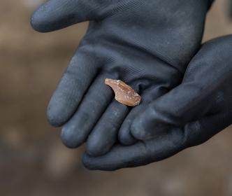 Local history during archaeological investigations at Abbotstown