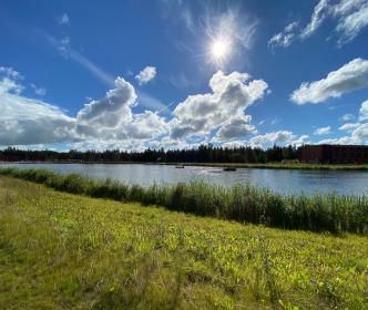 A large lake with some boats on a sunny day